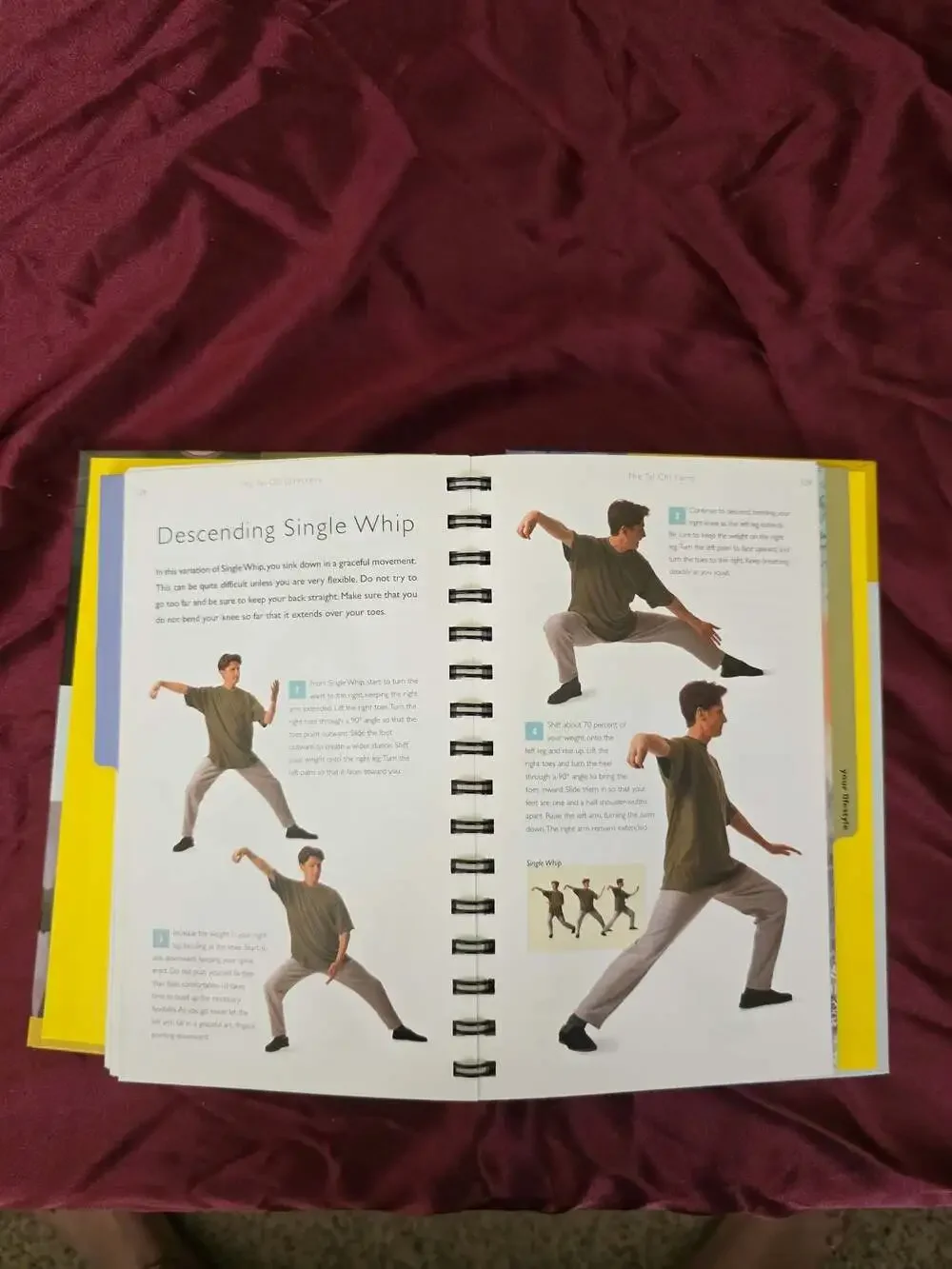 The Tai Chi Directory by Kim Davies (Hardcover)
